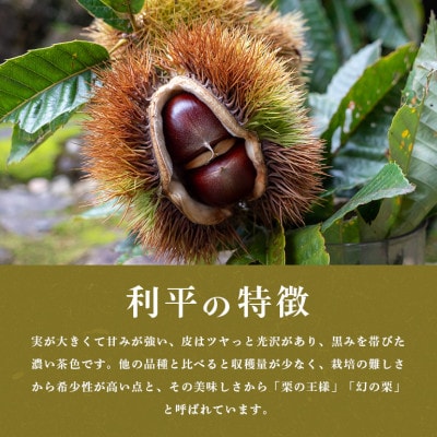 【2026年 秋 先行予約】笠間の栗・箱田農園の生栗「利平」1kg(3L以上)