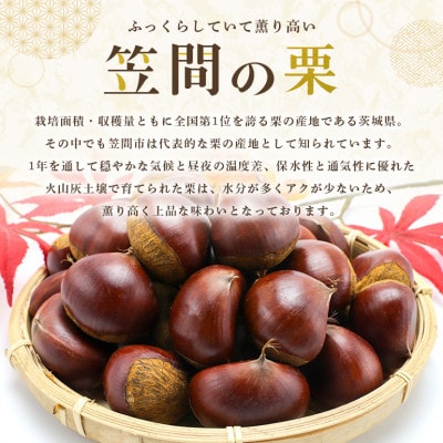 【2026年 秋 先行予約】笠間の栗・箱田農園の生栗「利平」1kg(3L以上)