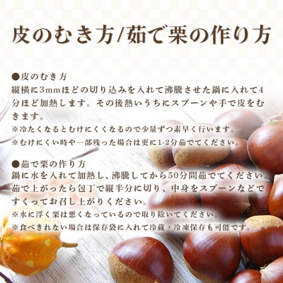 【2026年 秋 先行予約】笠間の栗・箱田農園の生栗「筑波」1kg
