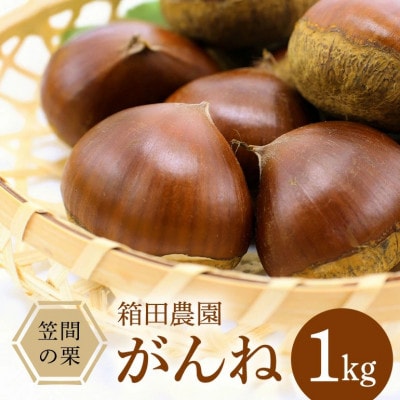 【2026年 秋 先行予約】笠間の栗・箱田農園の生栗「がんね」1kg