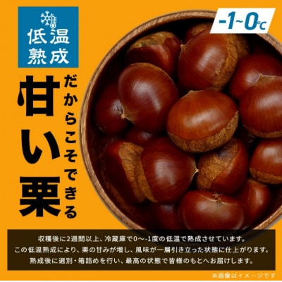 【2026年先行予約】 熟成生栗 栗 2kg 2L 数量限定 国産和栗 農産物直売所すわ