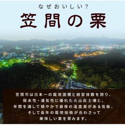 【2026年先行予約】 熟成生栗 栗 2kg 2L 数量限定 国産和栗 農産物直売所すわ