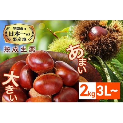 【2026年先行予約】熟成生栗 栗 2kg 3L 数量限定 国産和栗 農産物直売所すわ