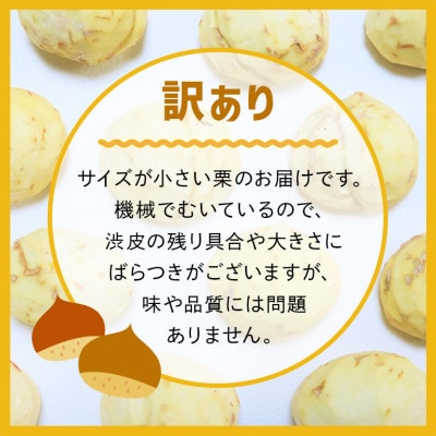 【2026年9月下旬より順次発送】【訳あり】笠間の小粒荒むき栗 1kg