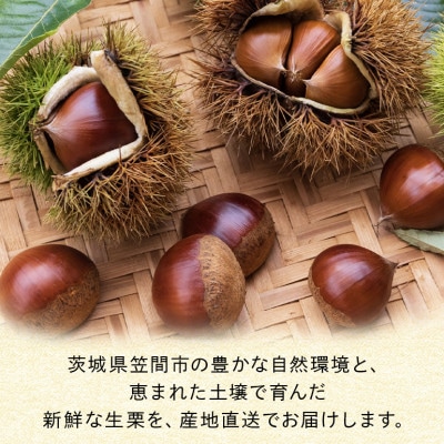 【2026年9月下旬より順次発送】【訳あり】笠間の小粒荒むき栗 1kg