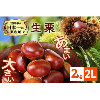 【2026年先行予約】 生栗 2kg 2L 数量限定 国産和栗 農産物直売所すわ