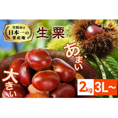 【2026年先行予約】 生栗 2kg 3L 数量限定 国産和栗 農産物直売所すわ