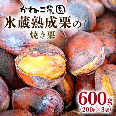 【2026年秋　先行予約】笠間の栗・かねこ農園の焼き栗　200g×3袋