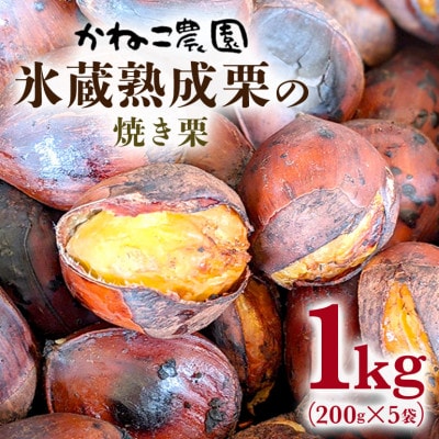 【2026年秋　先行予約】笠間の栗・かねこ農園の焼き栗　200g×5袋