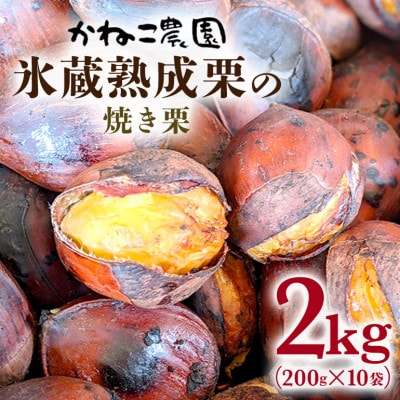【2026年秋　先行予約】笠間の栗・かねこ農園の焼き栗　200g×10袋