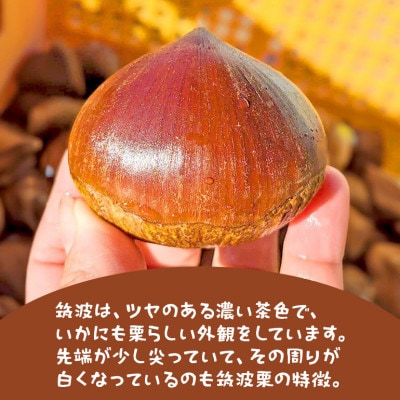 【2026年秋　先行予約】笠間の栗・かねこ農園の生栗「筑波(つくば)」2kg(4L以上)