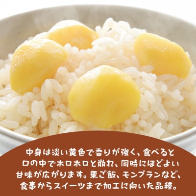 【2026年秋　先行予約】笠間の栗・かねこ農園の生栗「筑波(つくば)」2kg(4L以上)