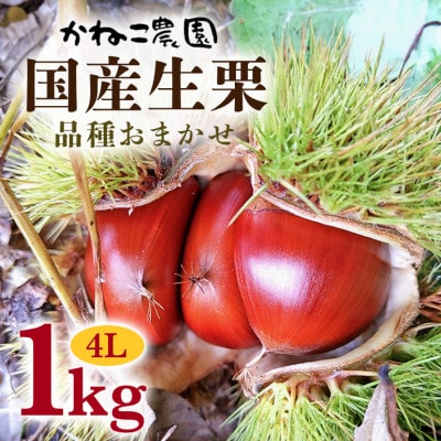 【2026年秋　先行予約】笠間の栗・かねこ農園の生栗　品種おまかせ1kg(4L)