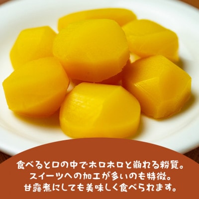 【2026年秋　先行予約】笠間の栗・かねこ農園の生栗「岸根(がんね)」2kg(4L)