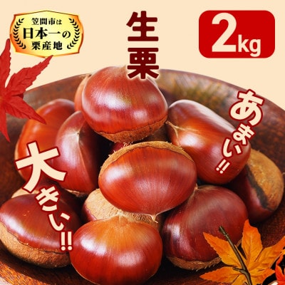 【2026年 秋 出荷】カサマロンの生栗 1kg×2袋　笠間市
