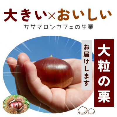 【2026年 秋 出荷】カサマロンの生栗 1kg×2袋　笠間市