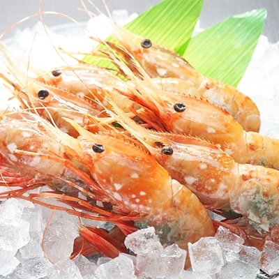 【噴火湾産】ぼたん海老　大サイズ　500g