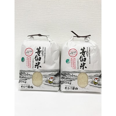 【令和6年産】等伯米コシヒカリ10kg (5kg×2袋)