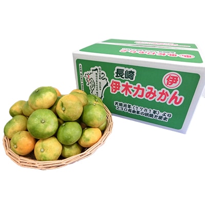 伊木力みかん10kg(極早生)
