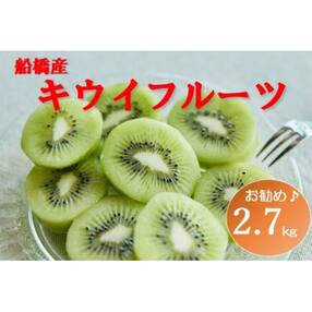 船橋産未追熟バラ詰めキウイフルーツ2.7kg(11/8〜11/30発送)まるり(E09)
