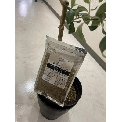 東京オリーブスパイス詰め替え用(120g×1袋)(K80)