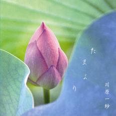 CD「たまより」　川原一紗の4thアルバム