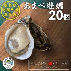 【生食用】シングルシード 方式でつくられたあまべ牡蠣(20個) | ふるさと納税のお礼品