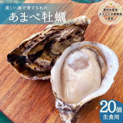【生食用】シングルシード 方式でつくられたあまべ牡蠣(20個)