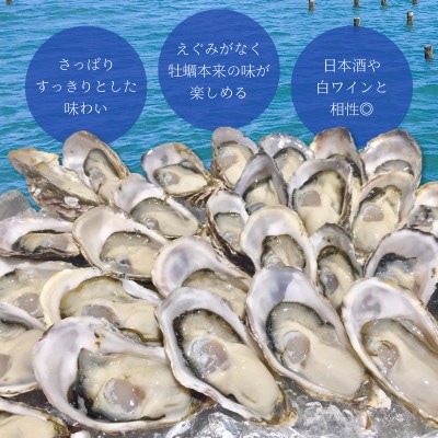 【生食用】シングルシード 方式でつくられたあまべ牡蠣(20個)