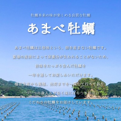 【生食用】シングルシード 方式でつくられたあまべ牡蠣(40個)