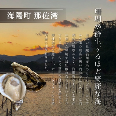 【生食用】シングルシード 方式でつくられたあまべ牡蠣(40個)