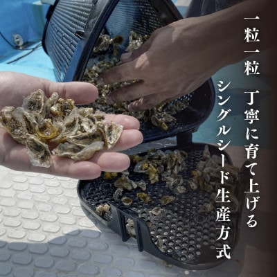 あまべ牡蠣(10個)&産地連携牡蠣(約1kg)食べ比べセット(生食用)合計1.6kg