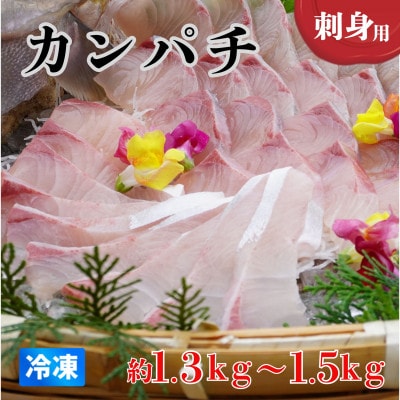 《約1.3kg～1.5kg》カンパチ(柵) 刺身用　冷凍でお届けします!