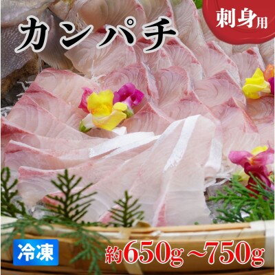 《約650g～750g》カンパチ(柵) 刺身用　冷凍でお届けします!