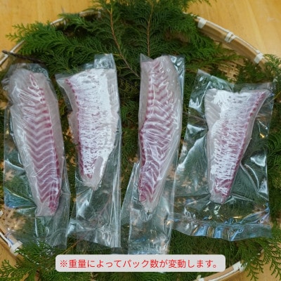 《約500g以上》タイ (柵) 刺身用　小分けタイプ　冷凍でお届けします!