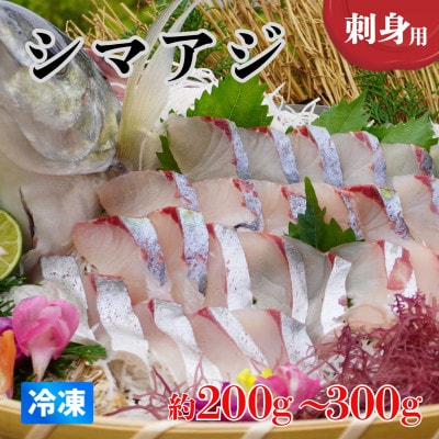 《約200～300g》シマアジ(柵) 刺身用　小分けタイプ　冷凍でお届けします!