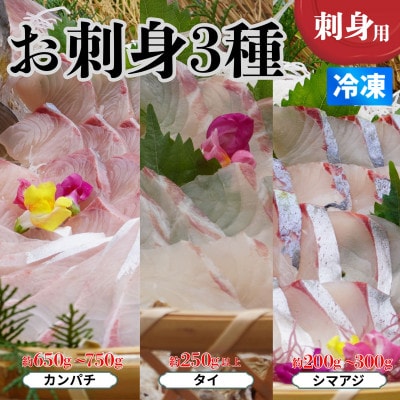 《カンパチ・タイ・シマアジ》お刺身3種詰合せ(柵) 刺身用　小分けタイプ　冷凍でお届けします!