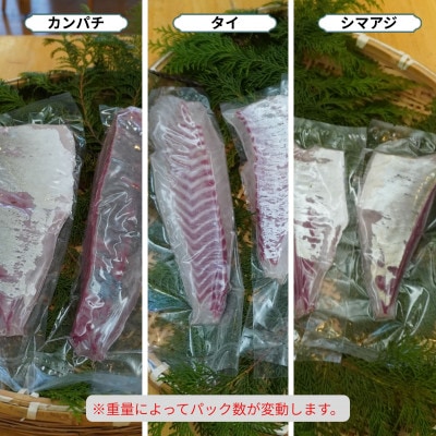《カンパチ・タイ・シマアジ》お刺身3種詰合せ(柵) 刺身用　小分けタイプ　冷凍でお届けします!