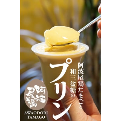 2019年度全国商工会連合会会長賞　阿波尾鶏たまごと和三盆糖のプリン4箱