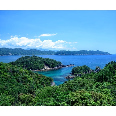 ごろっとたっぷり具材　伊勢海老入り贅沢な食べるラー油　『海陽ラー油』100g×1瓶