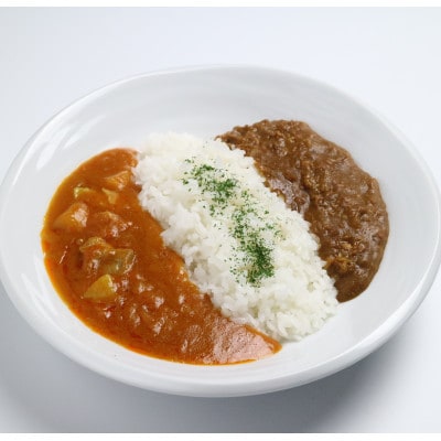 DMVカレー10食セット　甘口ぽんかんカレー・辛口キーマカレーの2種　MMT61
