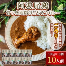 阿波尾鶏骨つき地鶏のごちそうカレー 10人前セット MMT31