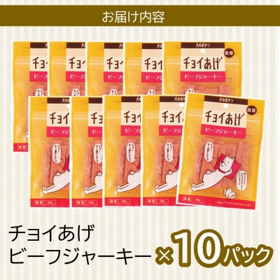 《10パック》ビーフジャーキー(60g×10P)チョイあげ犬のおやつ(チャック付き)WNW31