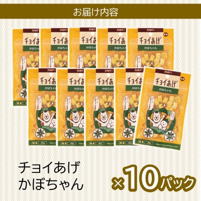 《10パック》かぼちゃん(35g×10P)チョイあげ犬のおやつ(チャック付)WNW35