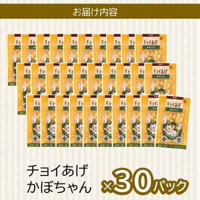 《30パック》かぼちゃん(35g×30P)チョイあげ犬のおやつ(チャック付)WNW42