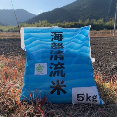 【玄米】海部清流米コシヒカリ5kg 認定エコファーマー栽培  代々受け継がれた米農家が作ってます!