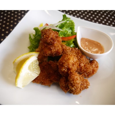 【冷凍】彩どり(いろどり)もも肉 4kg(1kg×4P)MMT73
