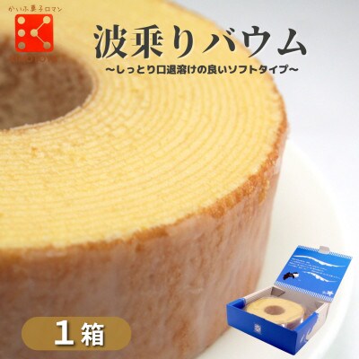 【1箱】銘店きもとやの「波乗りバウム 」　地元海部のおいしさを詰め込んだ焼き菓子です。