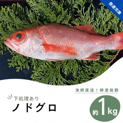 【2024年7月以降順次発送】高級魚　ノドグロ約1kg(水揚げ時)　下処理済み急速冷凍で産地直送