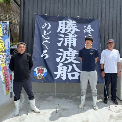 高級魚　アラ約1kg(水揚げ時)　下処理済み急速冷凍で産地直送